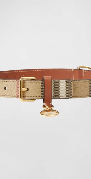 where i can buy separate burberry collars|burberry check leather dog collar.